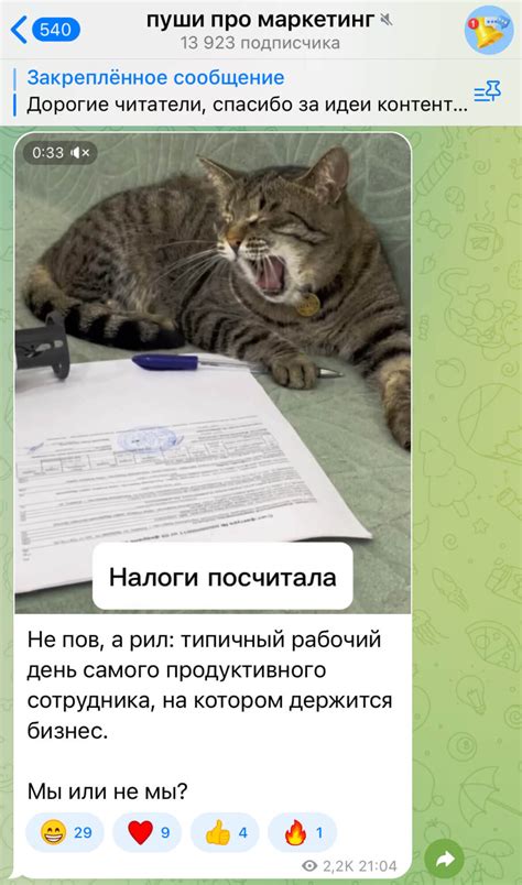 Сленг зумеров — понимаете ли вы язык и слова молодежи | Postium