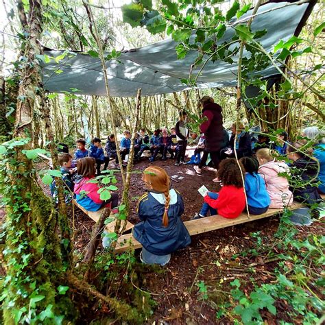 Forest School - Holy Family Junior National School