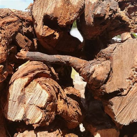 BEST Firewood Cape Town | FREE Delivery Available