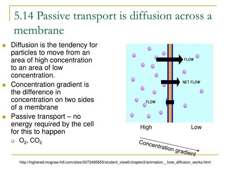 Passive Diffusion 的图像结果