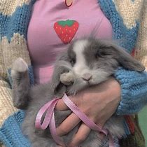 Image result for Baby Bunny Aesthetic