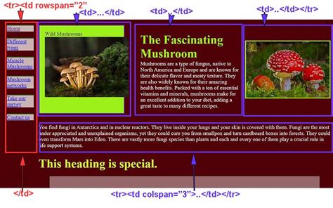 Image result for HTML Tutorial Examples