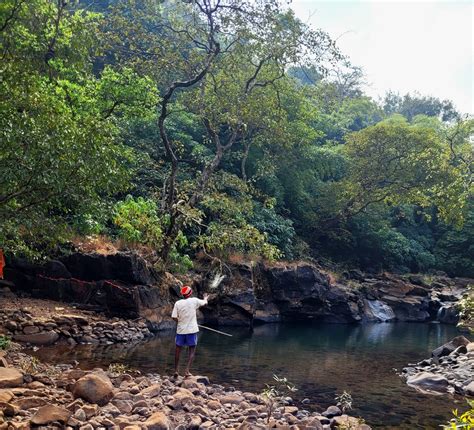 Adani Pump Storage Dams: Defiling sacred pools and fish sanctuaries in ...
