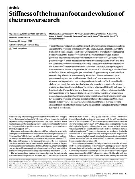 Human Foot Evolution 的图像结果