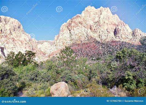 First Creek Trail, Red Rock National Conservation Area, Nevada Stock ...