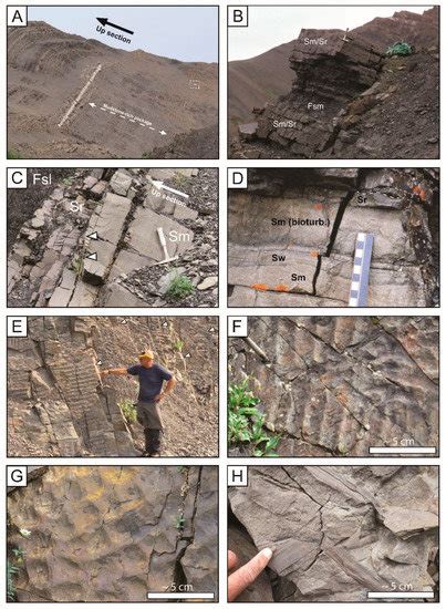 High-Latitude Depositional Systems, Provenance, and Basinal Setting of ...