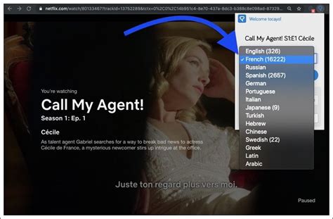 Image result for Netflix Learning Language How to Log In