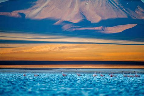 Image result for Free Website Store Code HTML and CSS