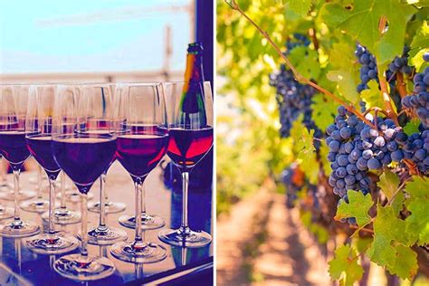 See, Swirl & Sip Wines At The Grape Escapade Festival In Goa | LBB