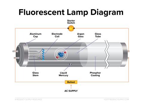 What Is The Main Function Of Fluorescent Lamp at Kai Chuter blog