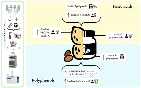 Effect of Crushing Peanuts on Fatty Acid and Phenolic Bioaccessibility ...