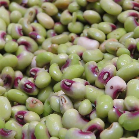 BAILEYS PRODUCE & NURSERY (Pensacola): Ce qu'il faut savoir