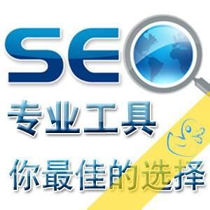 SEO981 - 全网SEO搜索引擎快速排名
