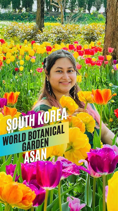 🇰🇷 TRIT | Korea All in One Platform for Travelers | TRIT’s partner creator Tori Park (@toriprk ...