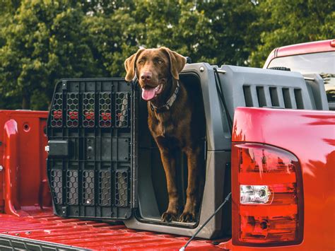 Dog Crate Size Guide: Size Charts and More