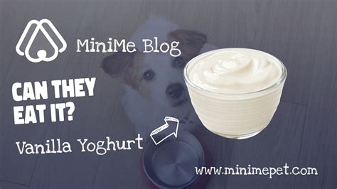 Can Dogs Eat Vanilla Yoghurt? - MiniMe Pet - Social App for Pets