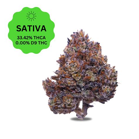 Buy Purple Haze THCa Flower Online | ATLRx