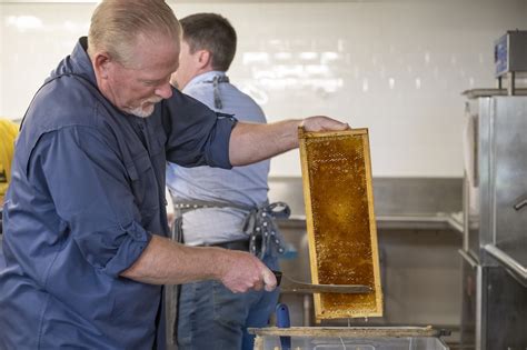 DHS Members Participate in Third Annual St. Elizabeths Honey Extraction ...