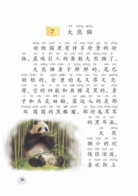 部编版三年级下册第七单元作文《国宝大熊猫》写作指导 - 知乎