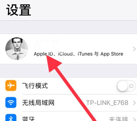 在 iPhone、iPad 或 iPod touch 上访问和查看“iCloud 照片” - Apple 支持