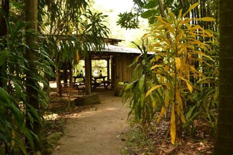 PLATYPUS BUSH CAMP (Finch Hatton) - Campground Reviews & Photos ...