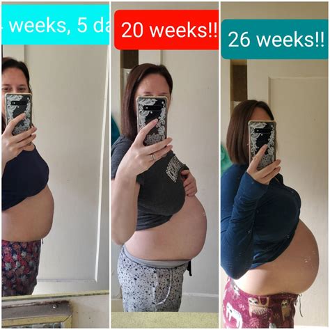 Pregnant With Twins Belly Week By Week