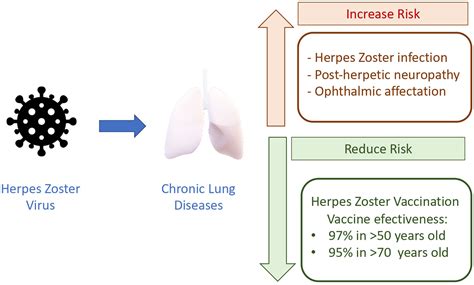 Herpes Zoster Virus: Should Patients With Chronic Respiratory Diseases Be Vaccinated? | Archivos ...