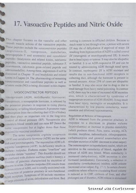 Vasoactive peptide & nitric oxide - Pharmacy - Studocu