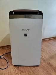SHARP dehumidifier with Air Purifier I Plasmacluster Tech fight against ...