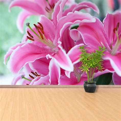 Buy Pink Lily Removable or Traditional Wall Mural | Wallpaper Pink ...