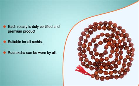 Apnisanskriti Rudraksha Mala (15 mm, Full Length, 108+1 Beads, Lab ...