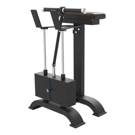 CTB-69 Fore Arm | Wrist Curl – Cosco Store India
