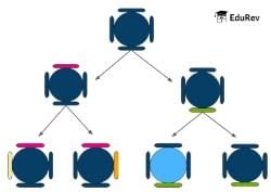 Mnemonics Heredity - Science Class 10 PDF Download