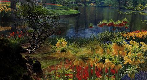 SARFAESI act to prevail in case of conflict with Company Act. HC