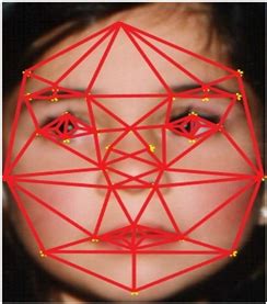 Robust Active Shape Model via Hierarchical Feature Extraction with SFS ...