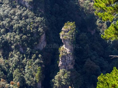 Avatar China 的图像结果