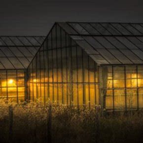 Why Control CO2 Levels at Night in Plant Grow Rooms? | CO2Meter.com