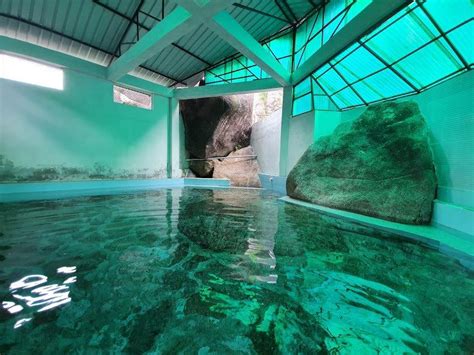 Mawkyrwat Escapes (Sightseeing) | Go Somewhere