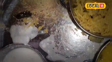 మినీ మీల్స్ లో జలగ.. ఖంగుతిన్న వినియోగదారులు.. ఎక్కడంటే.. In a ...