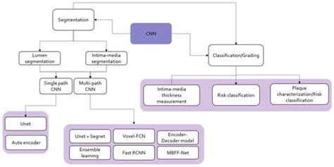 Ultrasound-Based Image Analysis for Predicting Carotid Artery Stenosis ...