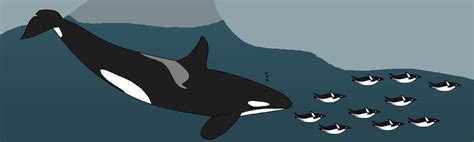 Image result for Dolphin Partner Optimization Algorithm