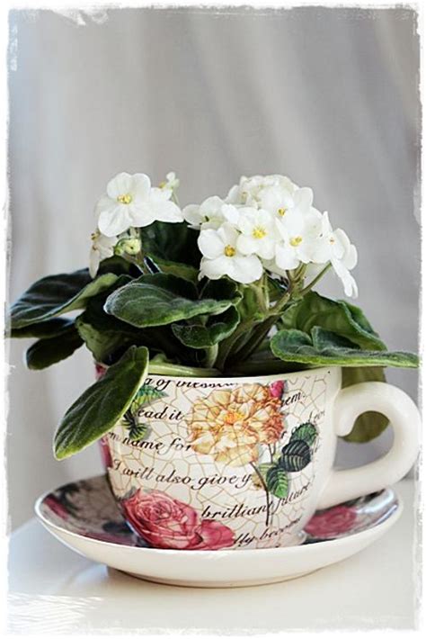 Tazas de Porcelana, Usos Originales - Decoracion.IN