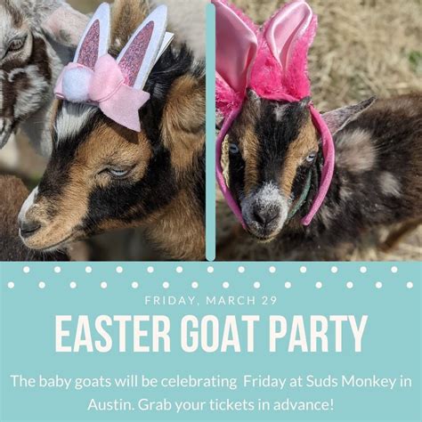 Easter Goat Party, Suds Monkey Brewing, Driftwood, March 29 2024 ...