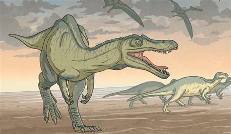 Europe’s Largest Carnivorous Dinosaur Unearthed - Twinkl NewsRoom