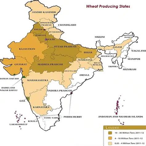 Wheat Cultivation in India, Distribution, Map, Importance