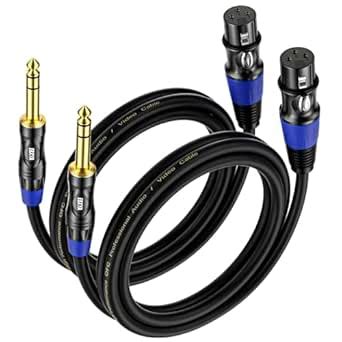 EBXYA XLR Female to 1/4 Inch TRS - Balanced XLR Microphone Cable to 6 ...