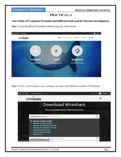 Df-17 - Entities To Include In The Blood Bank Management System ...