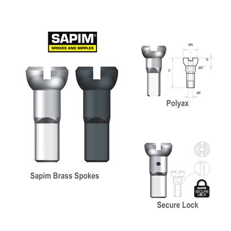 Sapim Spoke Nipples | Brass - Polyax, Secure Lock | Cycling Boutique