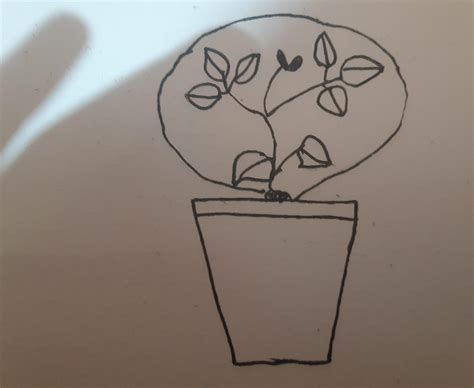 look at the following diagram in which a potted plant Is enclosed in an ...