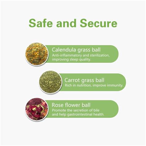 Barley Ears Bunny chew toys, rabbit hamster apple India | Ubuy